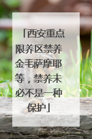 西安重点限养区禁养金毛萨摩耶等，禁养未必不是一种保护